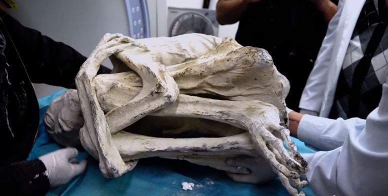 В Перу обнаружили инопланетную мумию.