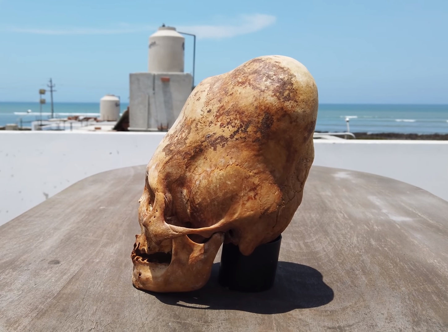 На кавказе раскопали скелет с удлинённым черепом, возрастом 1500 лет.
