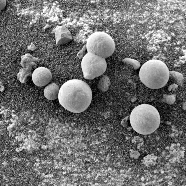 На Марсе нашли жизнь в форме грибов.