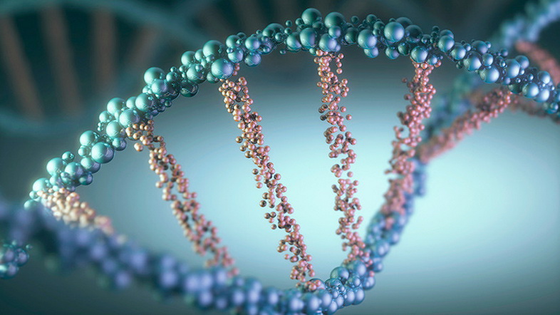 ДНК обеспечивает психическую связь между клетками.