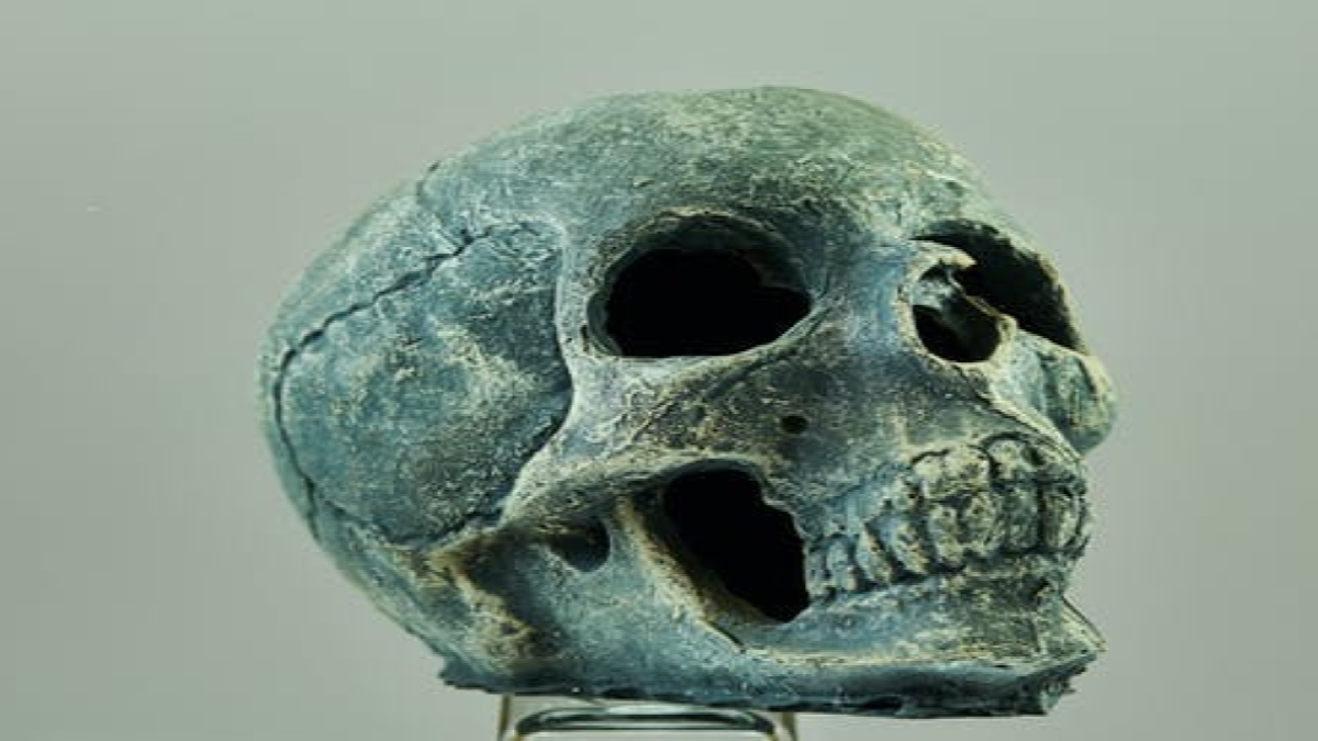 родезийский череп