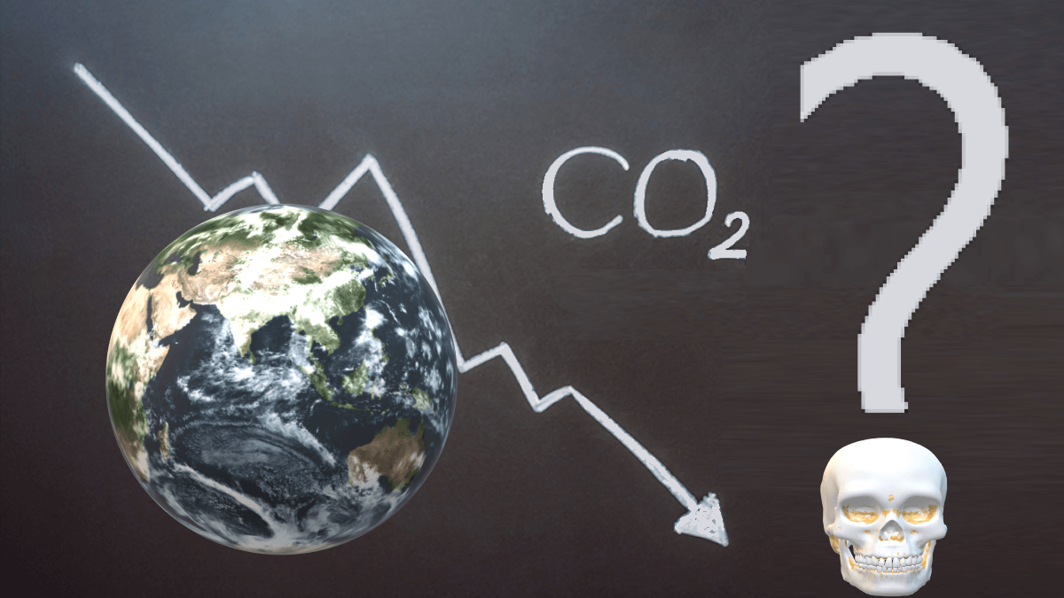 удаление CO₂ убьёт планету