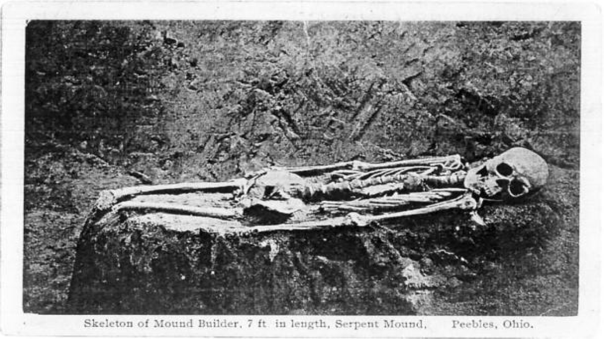 Скелет 2.2 метра 