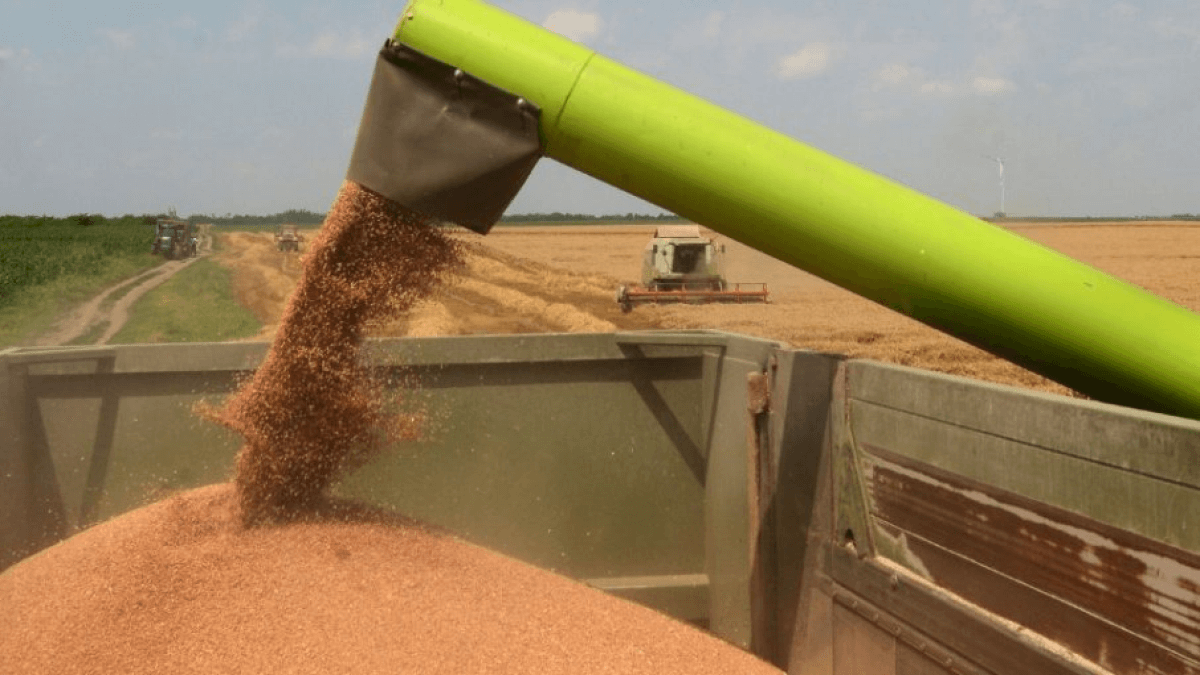 Россия и Украина обычно производят "почти четверть мировой пшеницы"