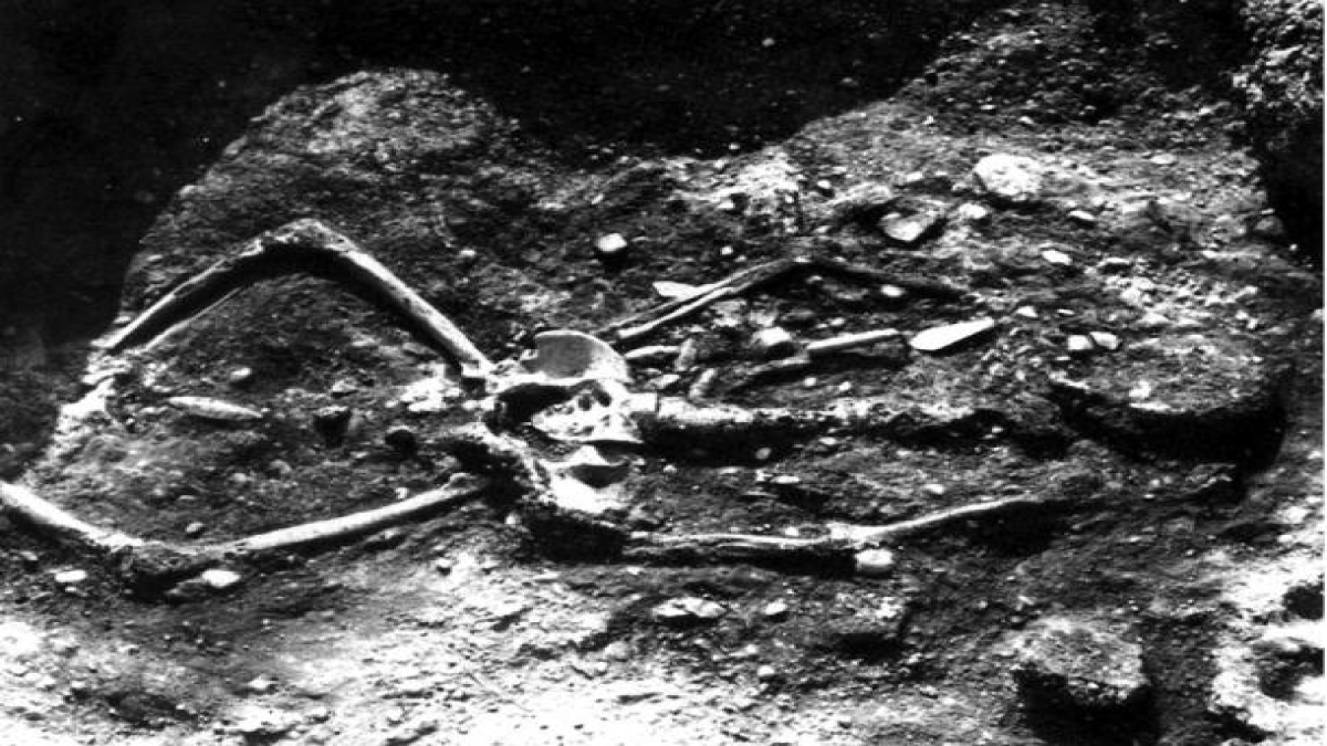 Скелет длиной 2.3 метра