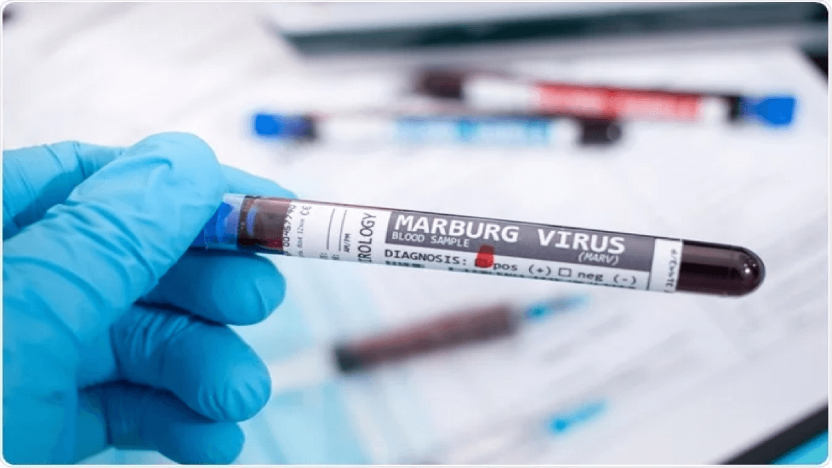 Новый вирус Марбург